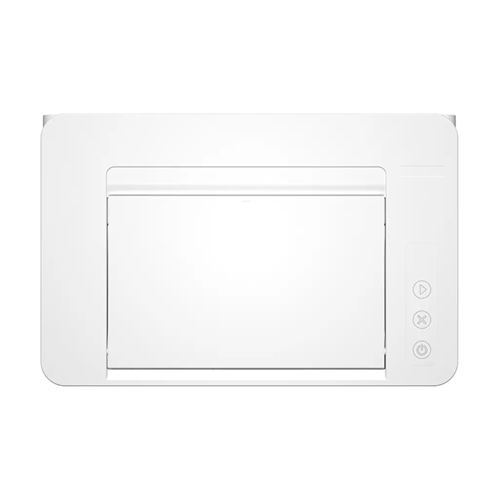 1500x1500 2.webp