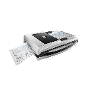 Untitled-1.webp